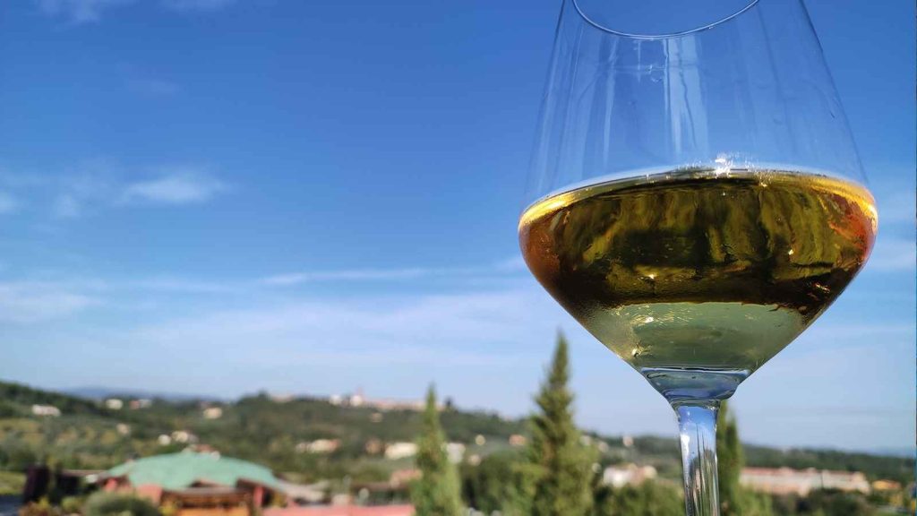 Dove viene prodotto il vino bianco in Toscana